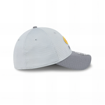 Gorra New Era 3930 Training 24 Nfl Green Bay Packers