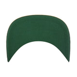 Gorra 47 NFL Hitch Golden Age Packers - NERIAS DEPORTES