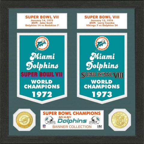 CUADRO SUPER BOWL BANNER DOLPHINS THE HIGHLAND MINT