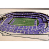 CUADRO 3D STADIUM VIEW VIKINGS