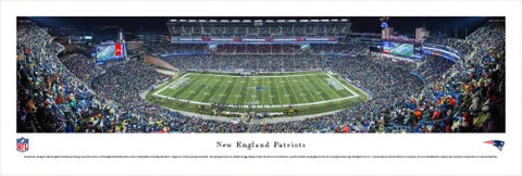 FOTO PANORAMICA PATRIOTS #2