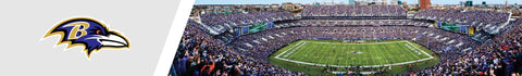 FOTO PANORAMICA RAVENS #2