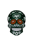 IMAN AMINCO SUGAR SKULL MAGNET 3" JETS
