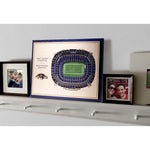 CUADRO 3D STADIUM VIEW RAVENS