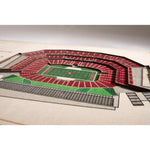 CUADRO 3D STADIUM VIEW 49ERS