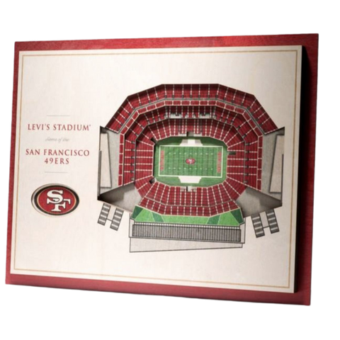 CUADRO 3D STADIUM VIEW 49ERS
